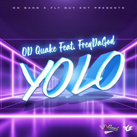 Yolo (Radio Edit) ft. FreqDaGod | Boomplay Music