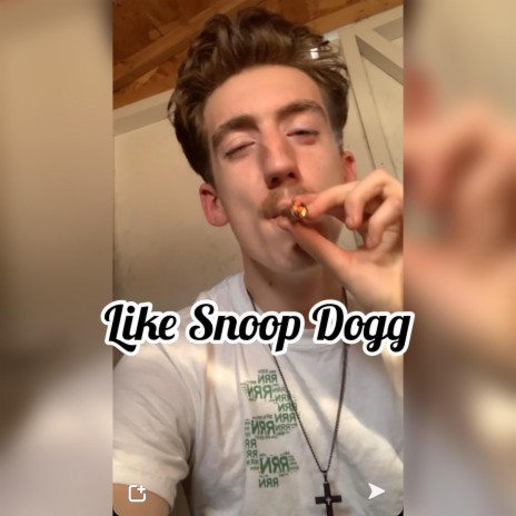 Like Snoop Dogg | Boomplay Music