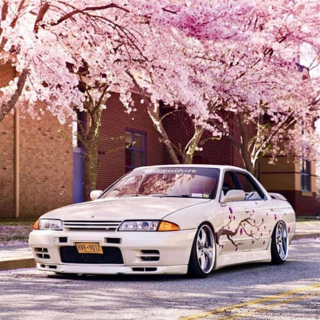 Sakura Warrior