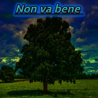 Non va bene