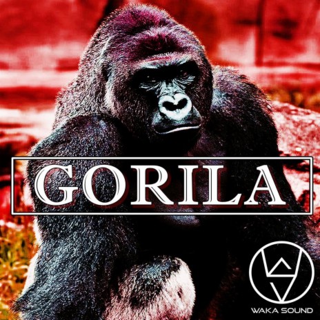 Gorila | Boomplay Music