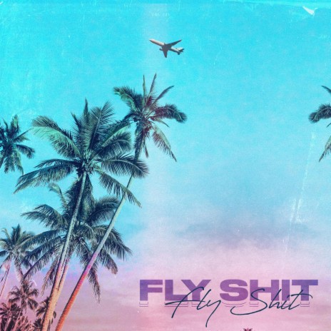 Fly Shit | Boomplay Music