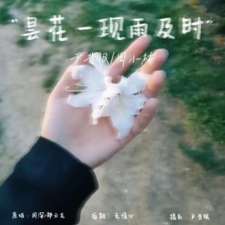 昙花一现雨及时