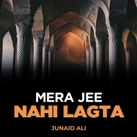 Mera Jee Nahi Lagta | Boomplay Music