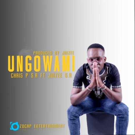 Ungowami ft. Juizee SA | Boomplay Music