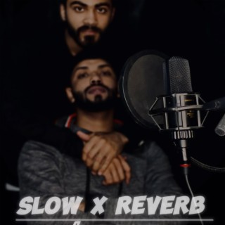 CRIME (SL & REVERB)