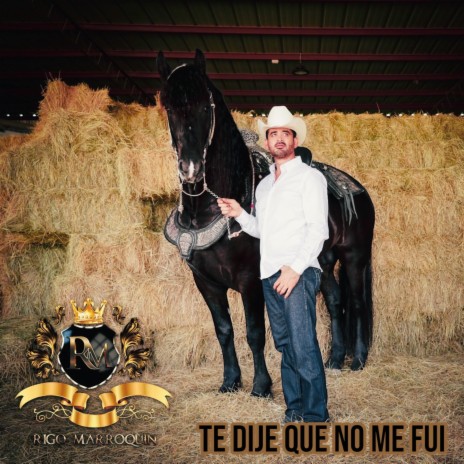 Te dije que no me fui | Boomplay Music