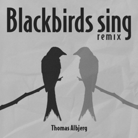 Blackbirds Sing (Stefan Storm Remix) | Boomplay Music