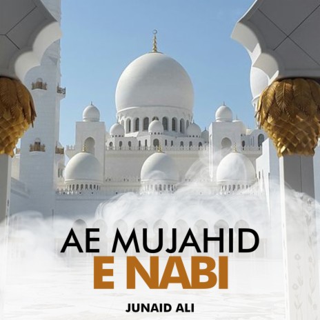 Ae Mujahid e Nabi | Boomplay Music