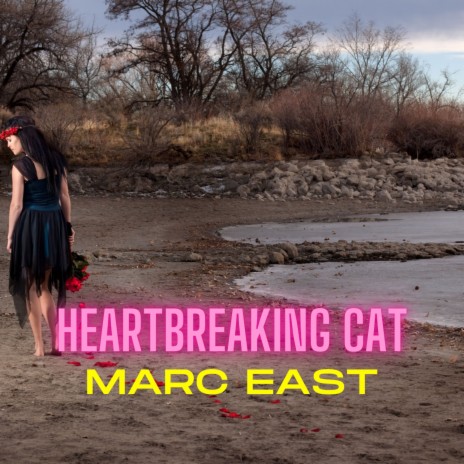 Heartbreaking Cat | Boomplay Music