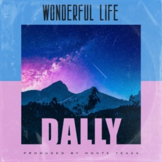 Wonderful Life