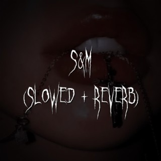 s&m (slowed + reverb)