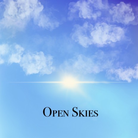 Open Skies | Boomplay Music