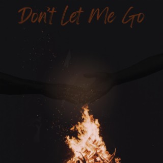 Don't Let Me Go lyrics | Boomplay Music