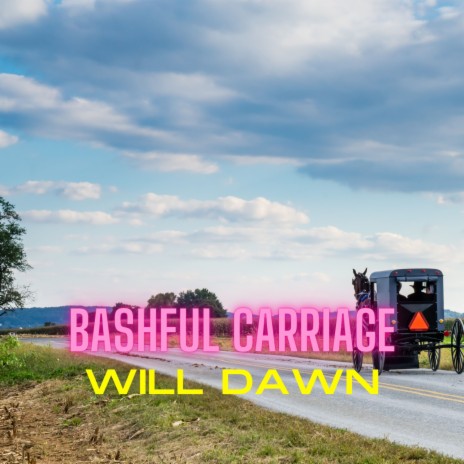Bashful Carriage