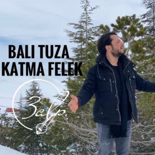 Balı Tuza Katma Felek