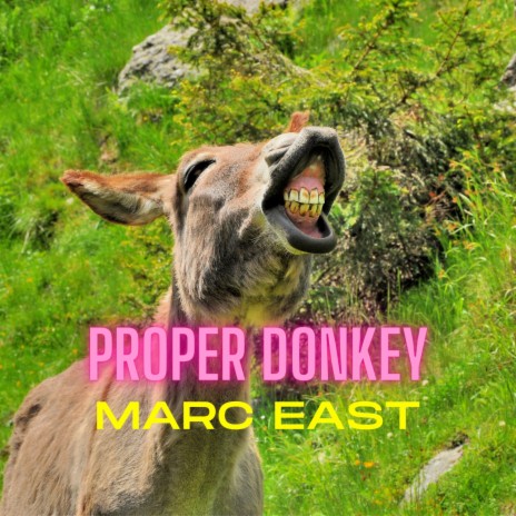 Proper Donkey | Boomplay Music