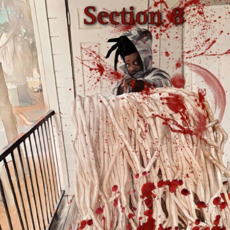 Section 8