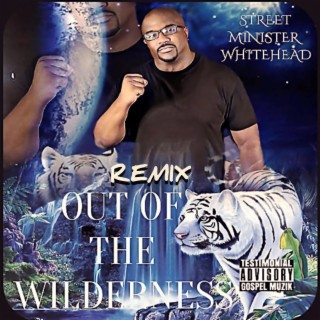Out Of The Wilderness (Remix)