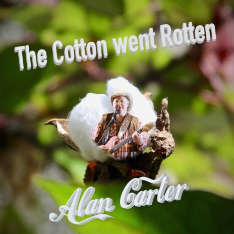 The Cotton went Rotten