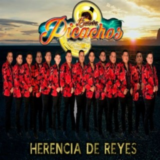 Banda Picachos