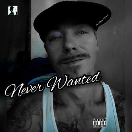 Never Wanted | Boomplay Music