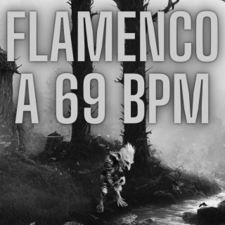 Flamenco a 69 bpm
