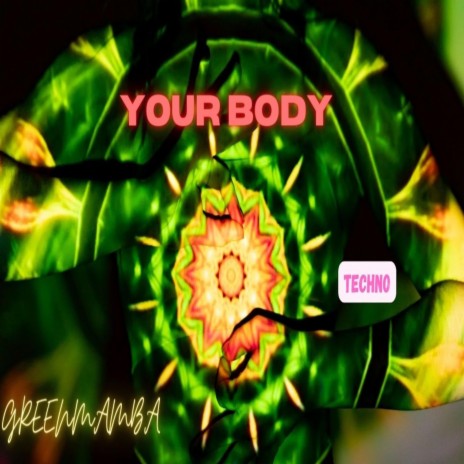 Your Body