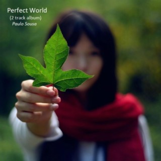 Perfect World