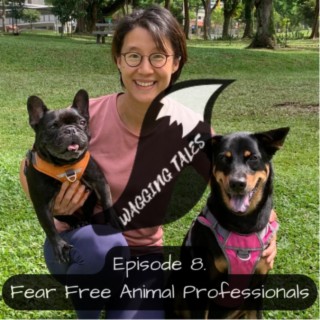 Fear Free Animal Professionals