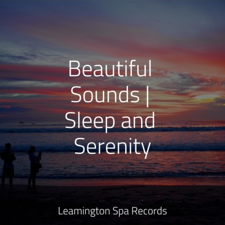 Relaxation Meditation ft. Sleep Lullabies for Newborn & Meditation | Boomplay Music