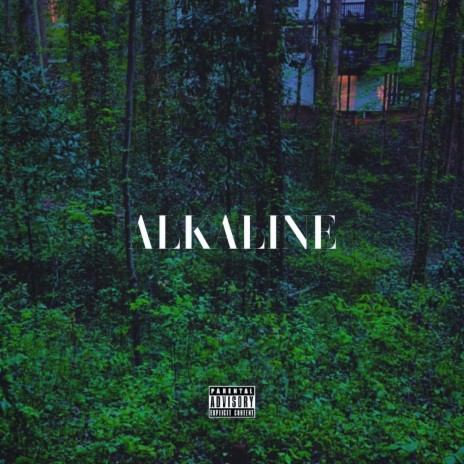 ALKALINE | Boomplay Music
