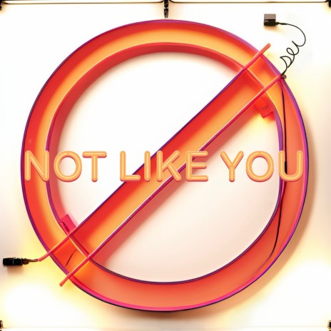 Not Like You | Boomplay Music