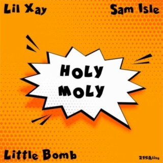 Holy Moly (feat. Sam Isle & Little Bomb)