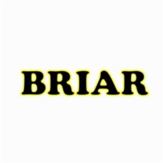 Briar