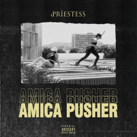 Amica Pusher | Boomplay Music