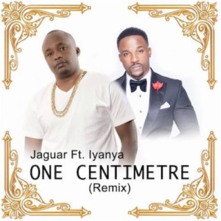 One Centimeter (Remix)
