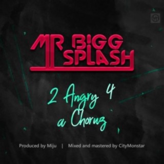 Mr Bigg Splash