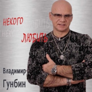 Владимир Гунбин