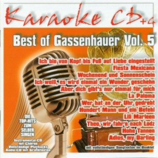 Best of Gassenhauer Vol.5