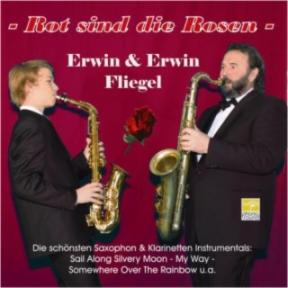 Erwin & Erwin Fliegel