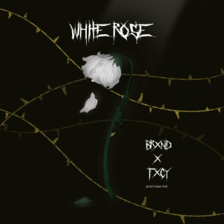 WHITE ROSE!