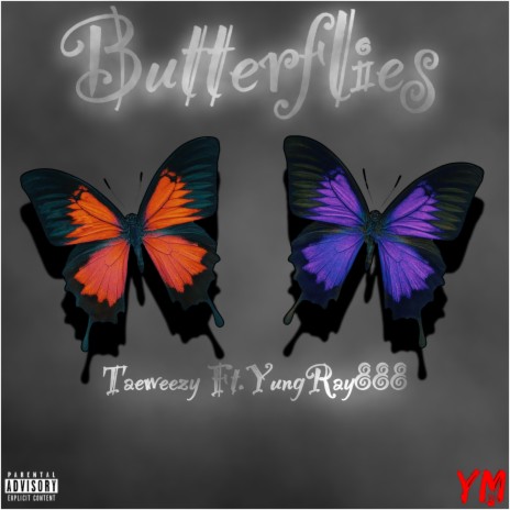 Butterflies ft. Yung Ray888 | Boomplay Music