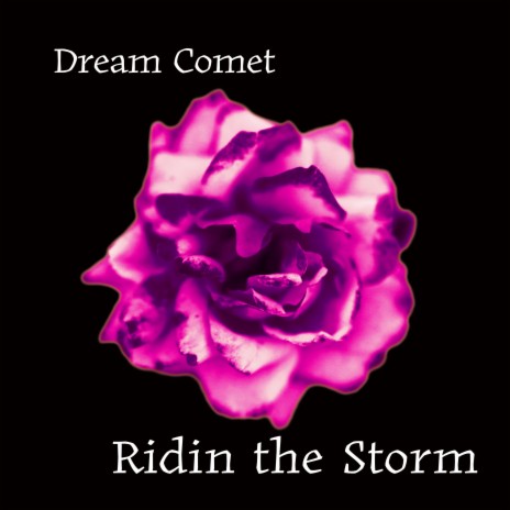 Ridin the Storm | Boomplay Music