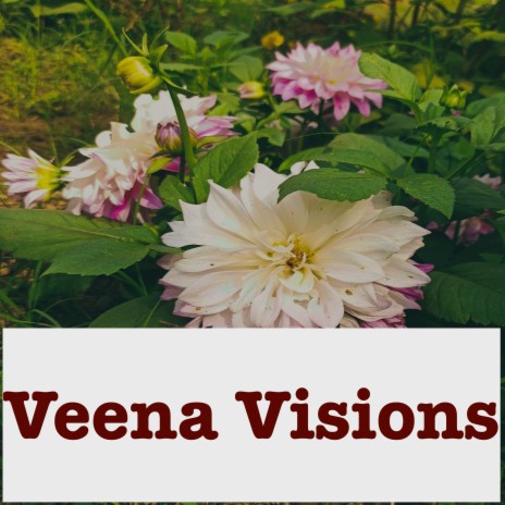 Veena Visions | Boomplay Music