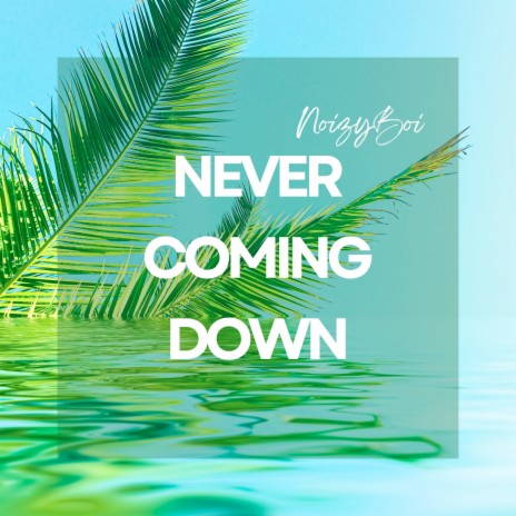 Never Coming Down | Boomplay Music