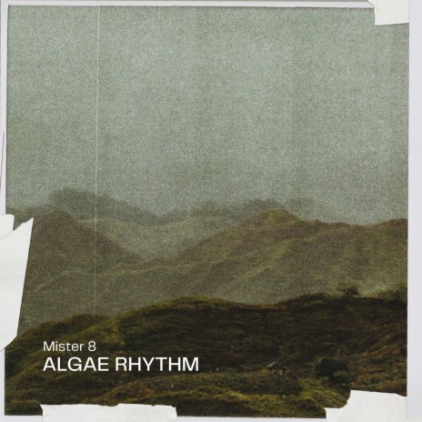 algae rhythm | Boomplay Music