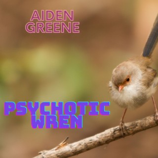 Psychotic Wren