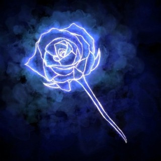 Blue Rose