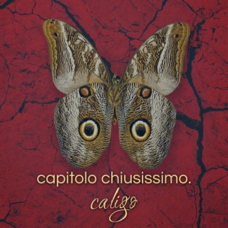 caligo